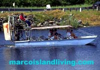 Everglade Boat Rides, Everglades Nature Tours, Everglades Manatee Tours, Everglades Fishing Tours, Everglades Nature, Florida Everglades Attractions