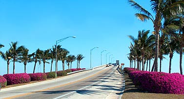 Florida Roads