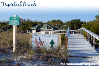 Tigertail Beach Florida