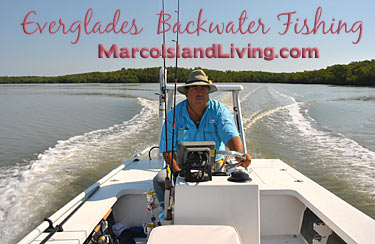 Backwater Fishing Marco Island Fishing Captains