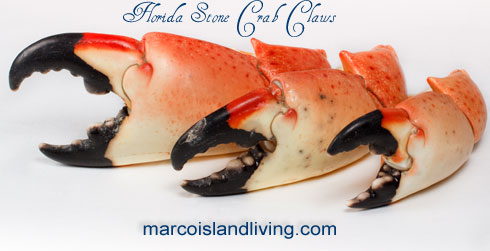 fl-stonecrab-claws