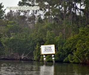 Manatee No Wake Zone