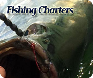 Florida Fishing Charters - Marco Island Naples Everglades Fishing Florida Fishing Charters