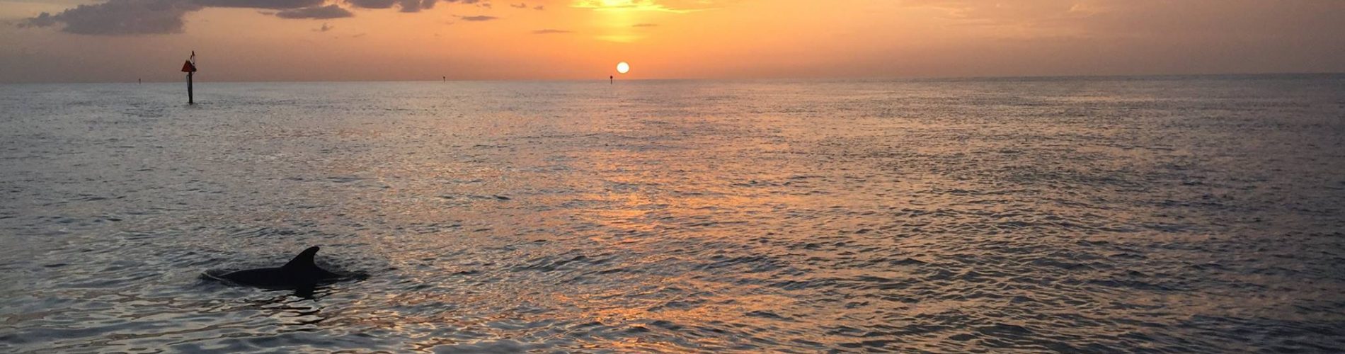 Marco Island Realtors Marco Island Realtors