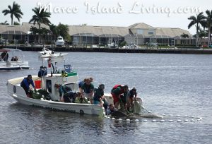 FWC Manatee Rescue