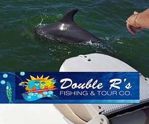 Eco Tours, Florida Everglades Boat Tours