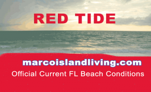 FL Red Tide Beach Conditions Reports