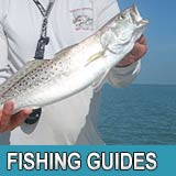 FL Fishing Guides