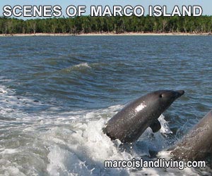 Scenes of Marco Island Florida Photo Slide Show